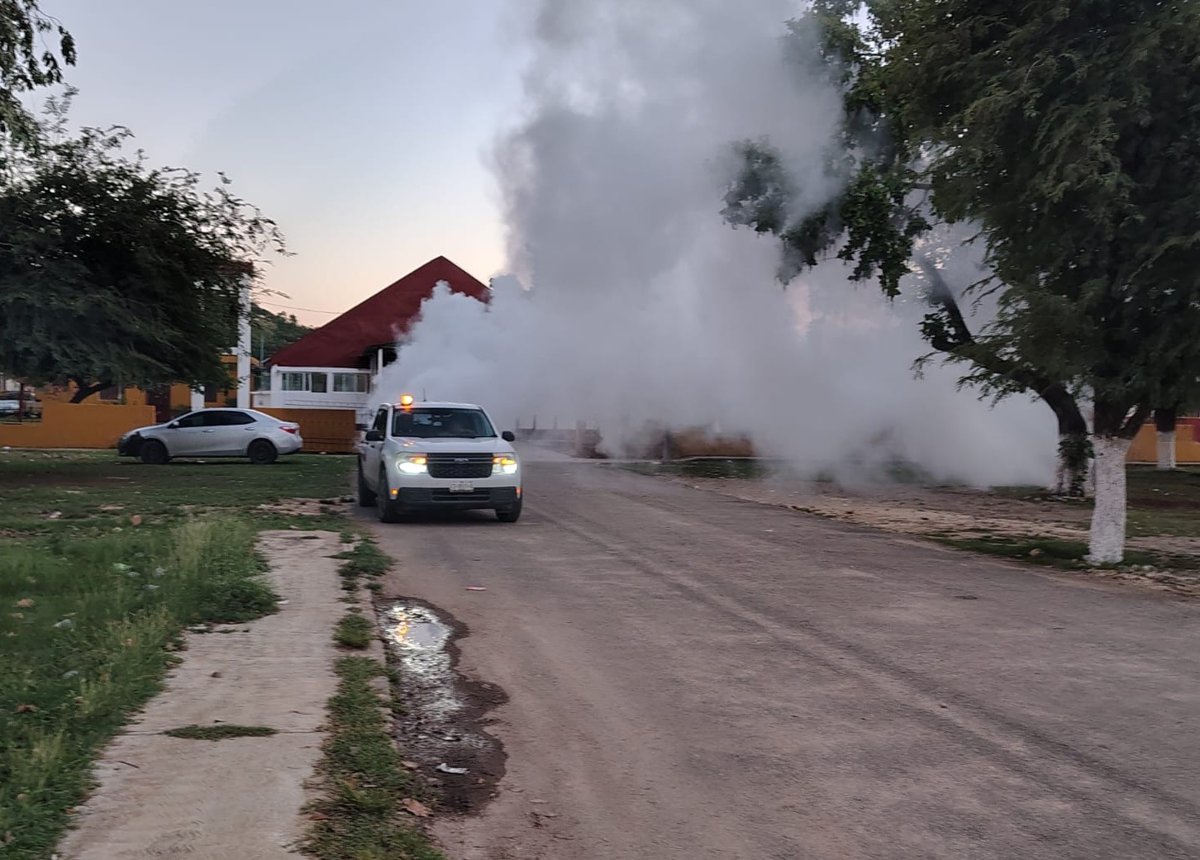 PERMANENTE COMBATE AL DENGUE EN CAMPECHE