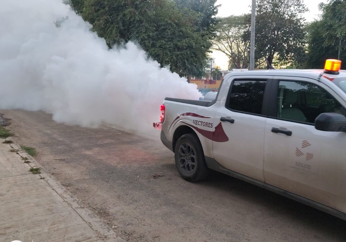 PERMANENTE COMBATE AL DENGUE EN CAMPECHE