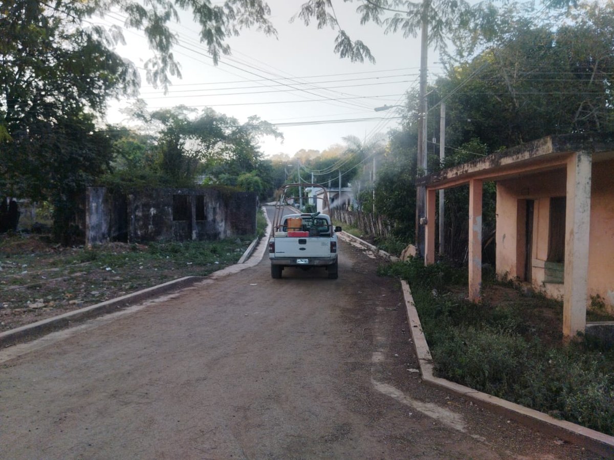 PERMANENTE COMBATE AL DENGUE EN CAMPECHE