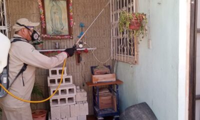 COBERTURA CONTRA EL DENGUE, PERMANENTE EN CAMPECHE