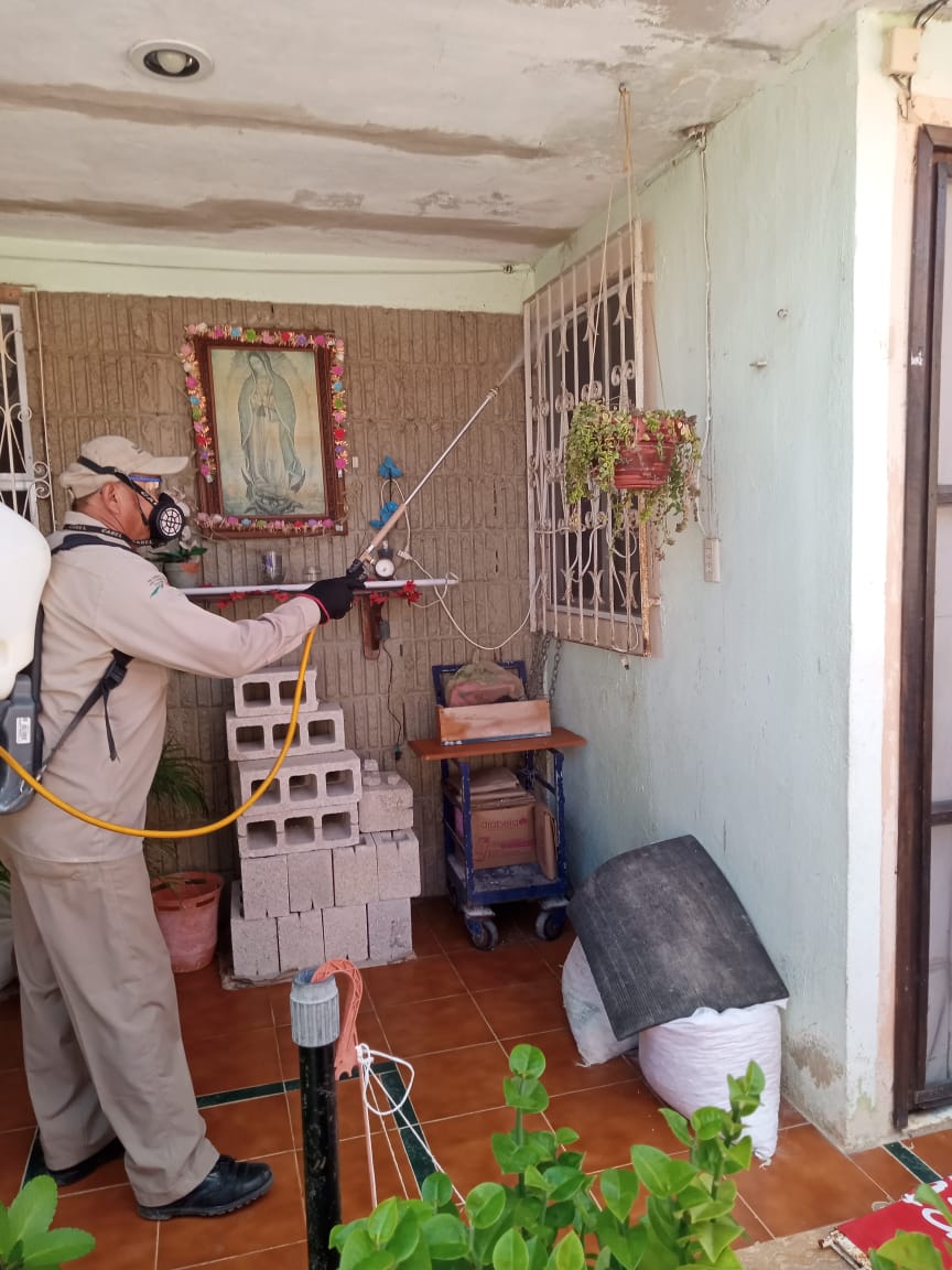 COBERTURA CONTRA EL DENGUE, PERMANENTE EN CAMPECHE