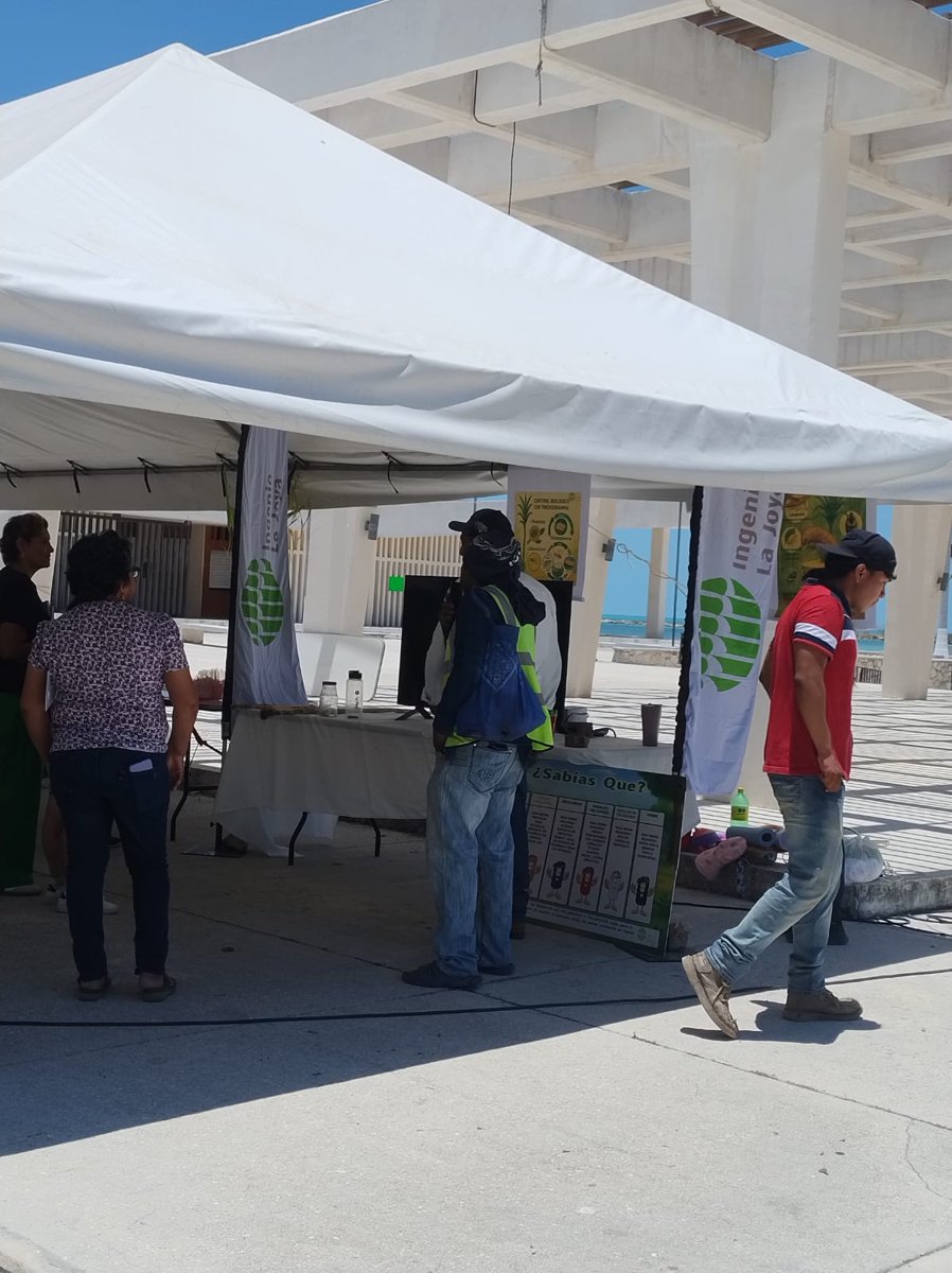 IMEC PARTICIPA EN LA APERTURA DE LA FERIA DEL MUNICIPIO DE SEYBAPLAYA