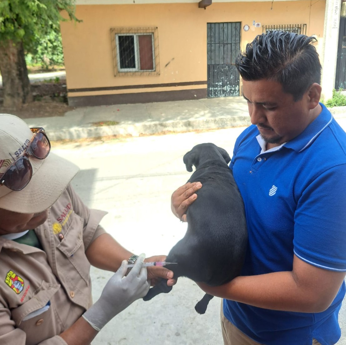 PERMANENTE VACUNACIÓN ANTIRRÁBICA EN CAMPECHE