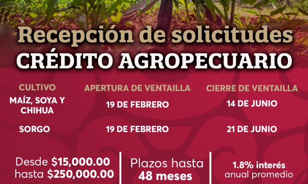 BANCAMPECHE PRESENTA LAS FECHAS DE RECEPCIÓN DE SOLICITUDES PARA CRÉDITO AGROPECUARIO