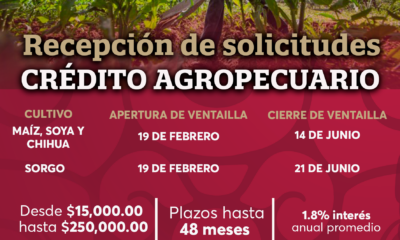 BANCAMPECHE PRESENTA LAS FECHAS DE RECEPCIÓN DE SOLICITUDES PARA CRÉDITO AGROPECUARIO