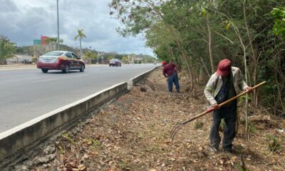 SEDUMOP TRABAJA EN AV. COSTERA
