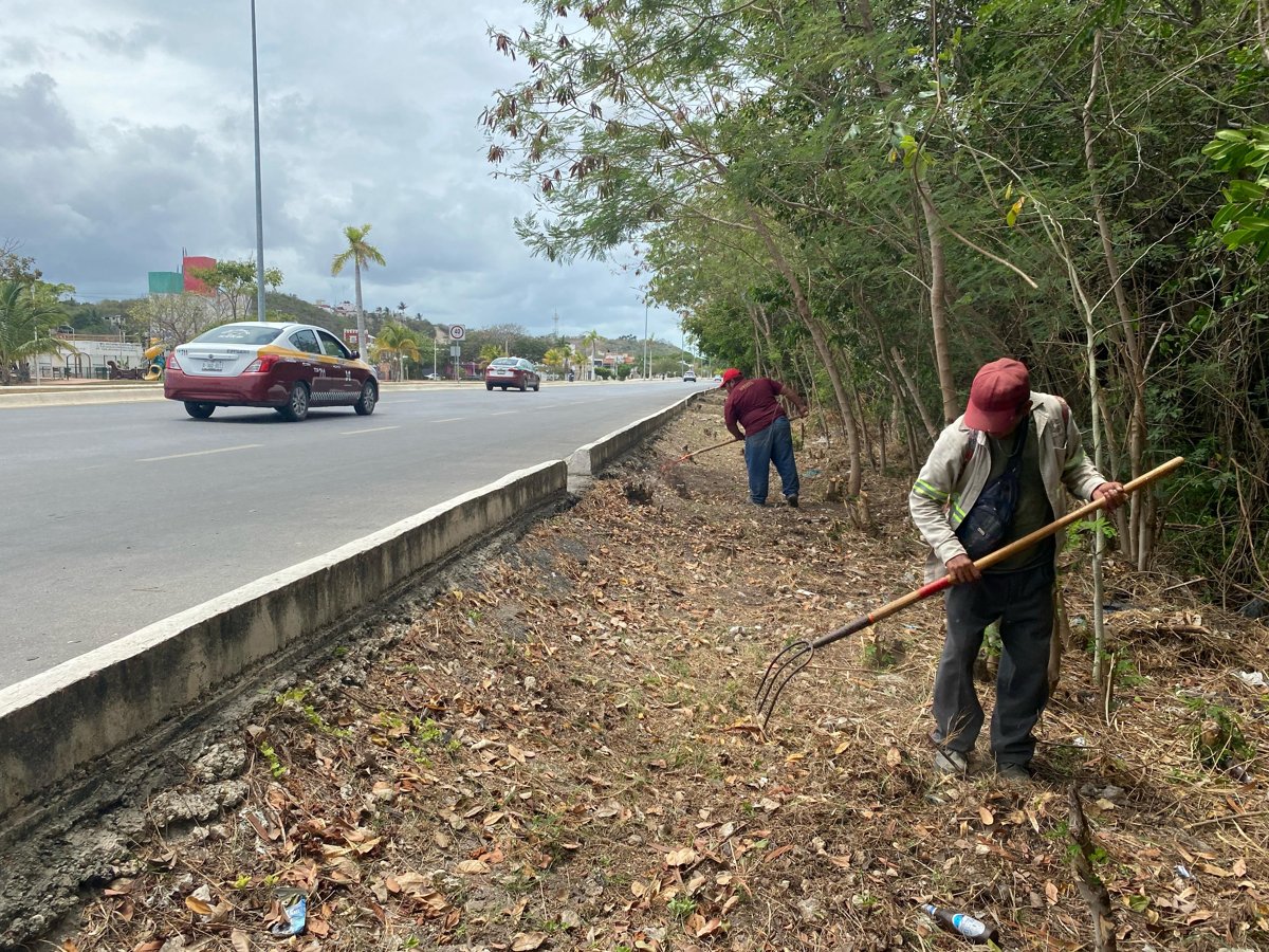 SEDUMOP TRABAJA EN AV. COSTERA