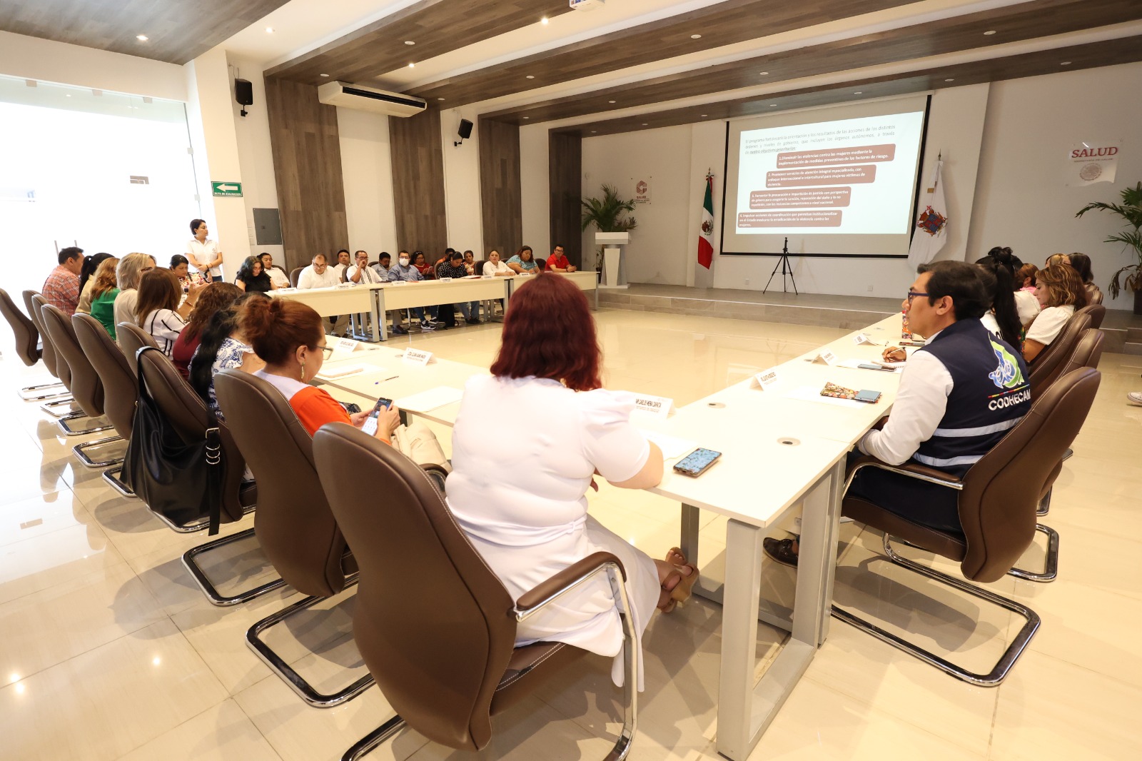 Imec Une Esfuerzos Con Instituciones Públicas Y Estatales Para Atender La Violencia Contra Las Mujeres, Niñas Y Adolescentes