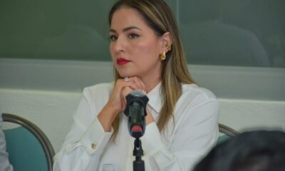 IMÁGENES: https:/ /we.tl/t-KnqMu4GDRE