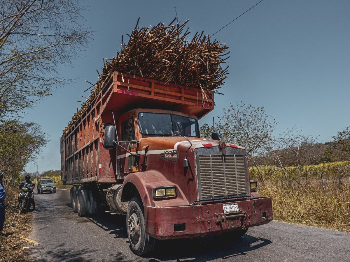 VISITA TRAMO CARRETERO CIUDAD DEL SOL- LA JOYA, CHAMPOTÓN