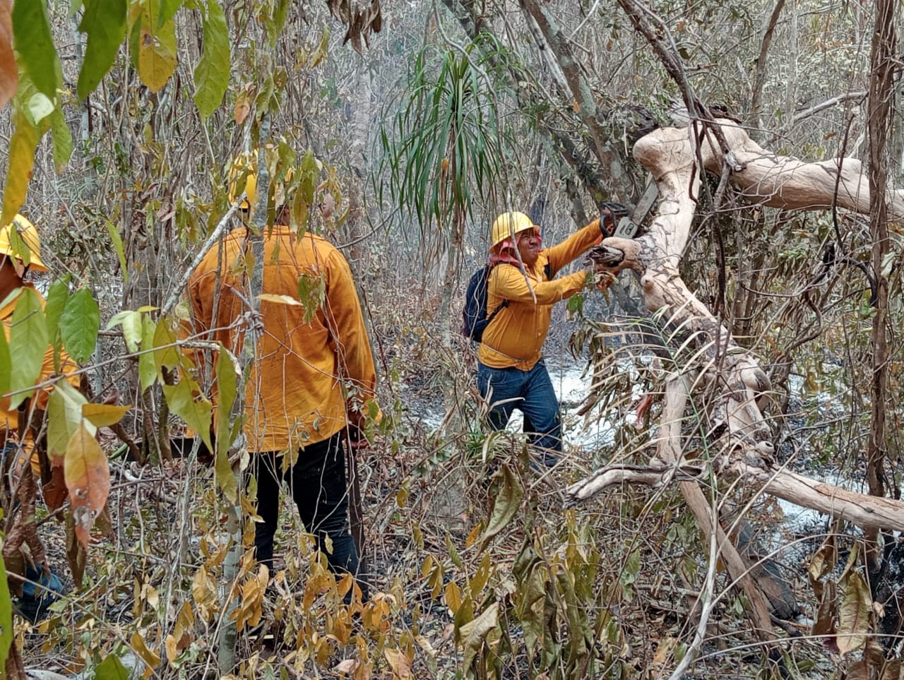 Incendio Forestal Chun Ek