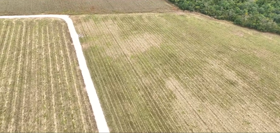 CONSTRUCCIÓN DE CAMINO SACA COSECHA EN UAYAMÓN