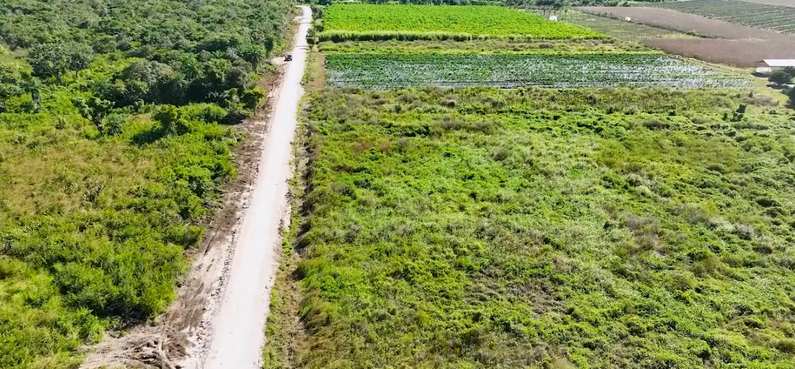 CONSTRUCCIÓN DE CAMINO SACA COSECHA EN UAYAMÓN