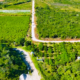 CONSTRUCCIÓN DE CAMINO SACA COSECHA EN UAYAMÓN