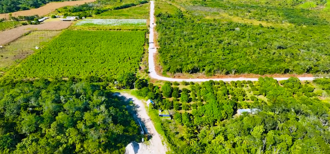 CONSTRUCCIÓN DE CAMINO SACA COSECHA EN UAYAMÓN