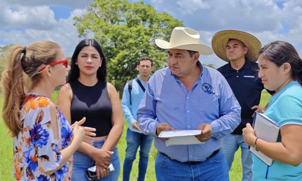 CODESVI, SEDATU Y CONAVI TRABAJAN DE LA MANO EN EL PROGRAMA NACIONAL DE VIVIENDA PARA EL BIENESTAR