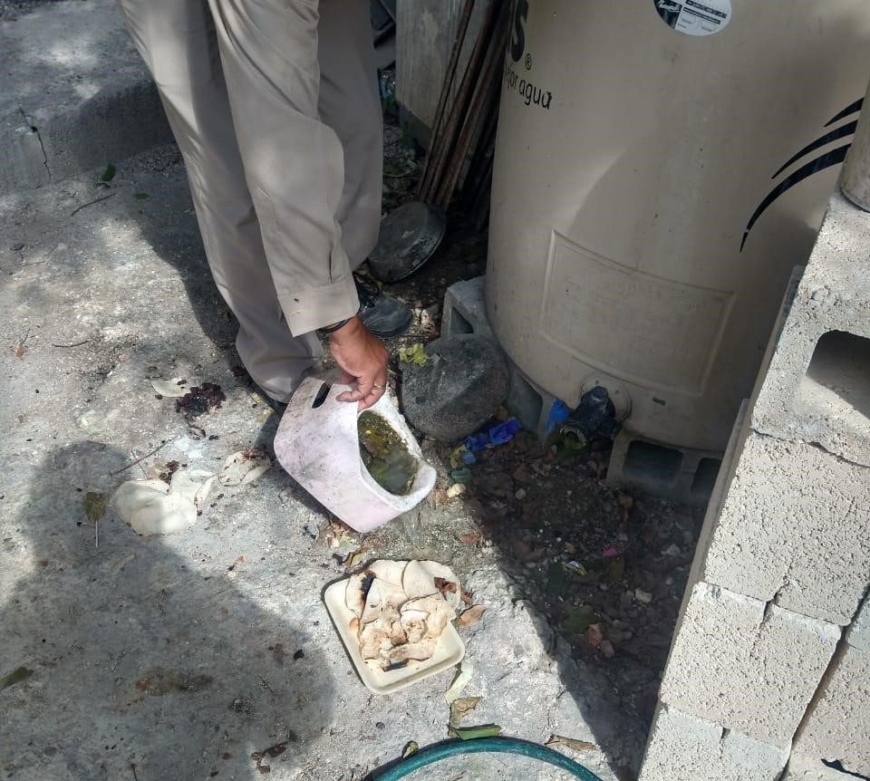 Intensifican Acciones De Control Larvario Para Prevenir El Dengue