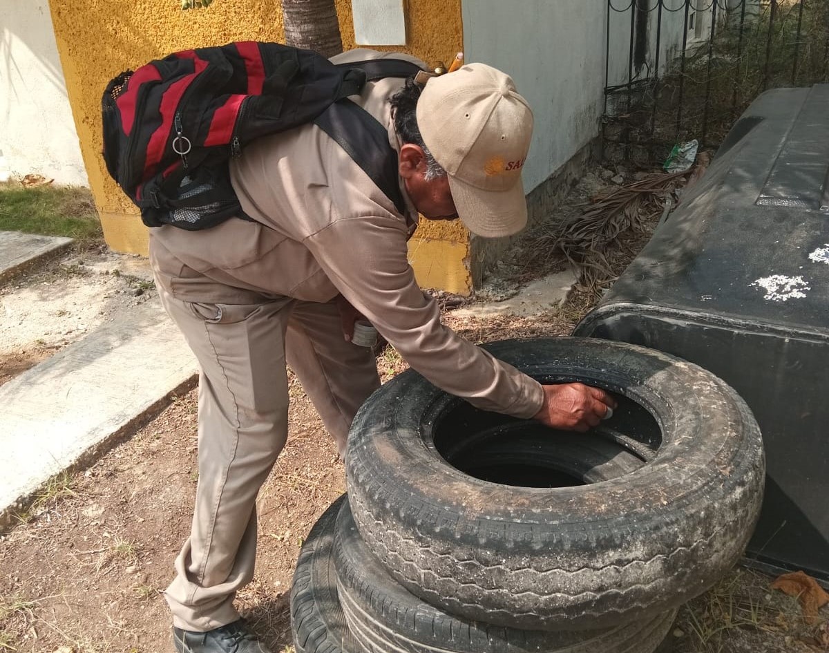 Intensifican Acciones De Control Larvario Para Prevenir El Dengue