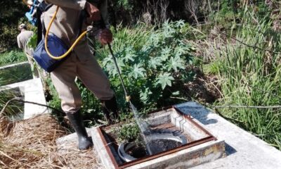 CONTINÚAN LAS ACCIONES DE CONTROL LARVARIO EN CAMPECHE