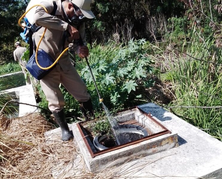 CONTINÚAN LAS ACCIONES DE CONTROL LARVARIO EN CAMPECHE