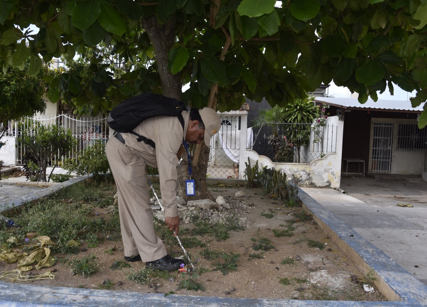 Intensifican Acciones De Control Larvario Para Prevenir El Dengue