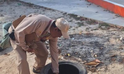ELIMINAN CRIADEROS DE MOSQUITOS CON CONTROL LARVARIO PARA PREVENIR EL DENGUE