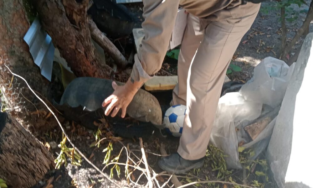PREVÉN EL DENGUE EN MUNICIPIOS DEL ESTADO