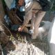 PREVÉN EL DENGUE EN MUNICIPIOS DEL ESTADO