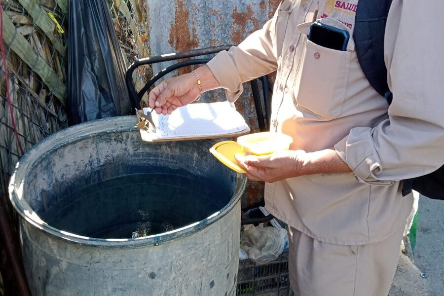 PERMANENTE LA LUCHA CONTRA EL MOSCO TRANSMISOR DEL DENGUE