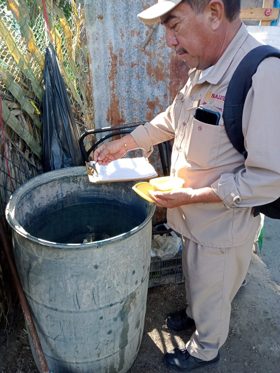 PERMANENTE LA LUCHA CONTRA EL MOSCO TRANSMISOR DEL DENGUE