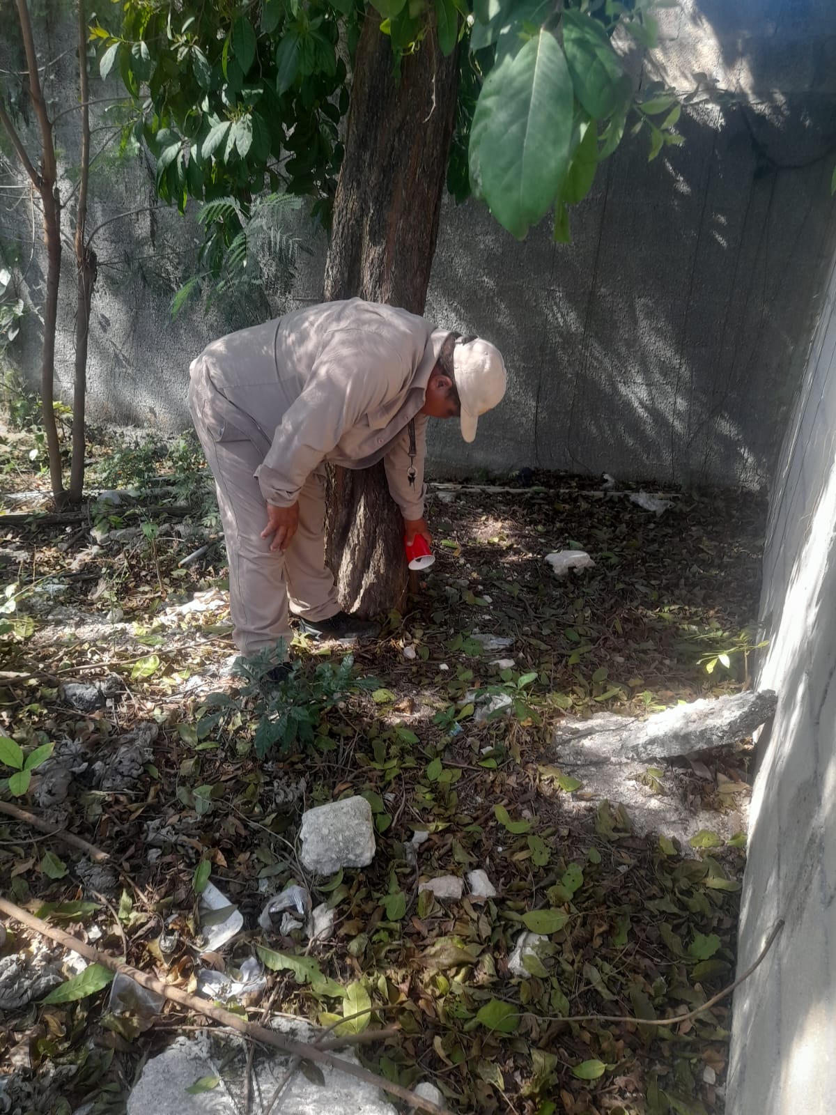 COMBATE FRONTAL AL DENGUE EN TODO EL ESTADO