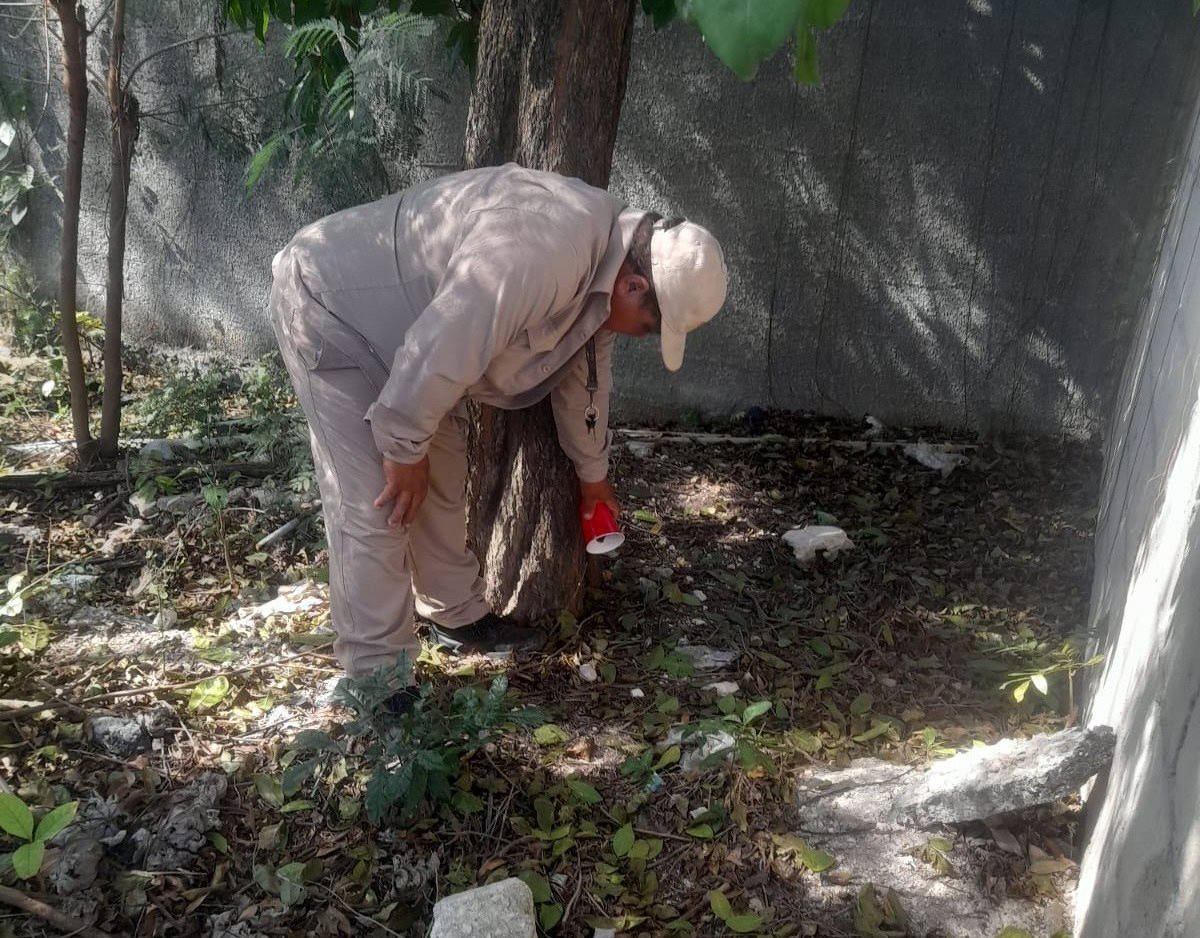 EXHORTA SALUD A REFORZAR MEDIDAS CONTRA EL DENGUE EN TEMPORADA DE LLUVIAS