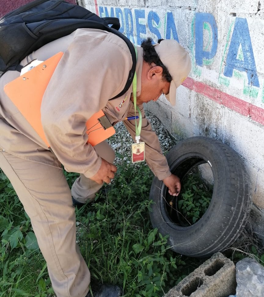 ELIMINADOS CON CONTROL LARVARIO, 184 MIL 817 DEPOSITOS DE AGUA PARA EVITAR EL DENGUE
