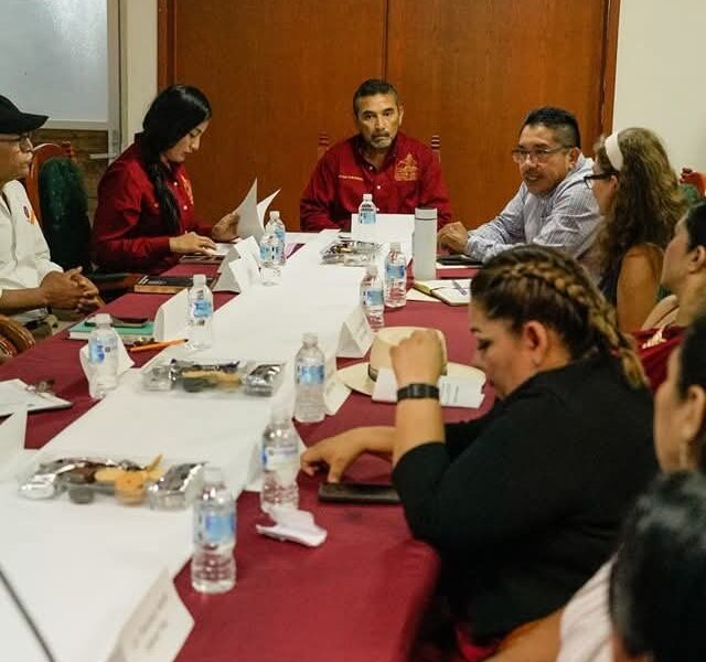 IMEC Y COESPO IMPULSAN GRUPOS MUNICIPALES PARA PREVENIR EL EMBARAZO ADOLESCENTE