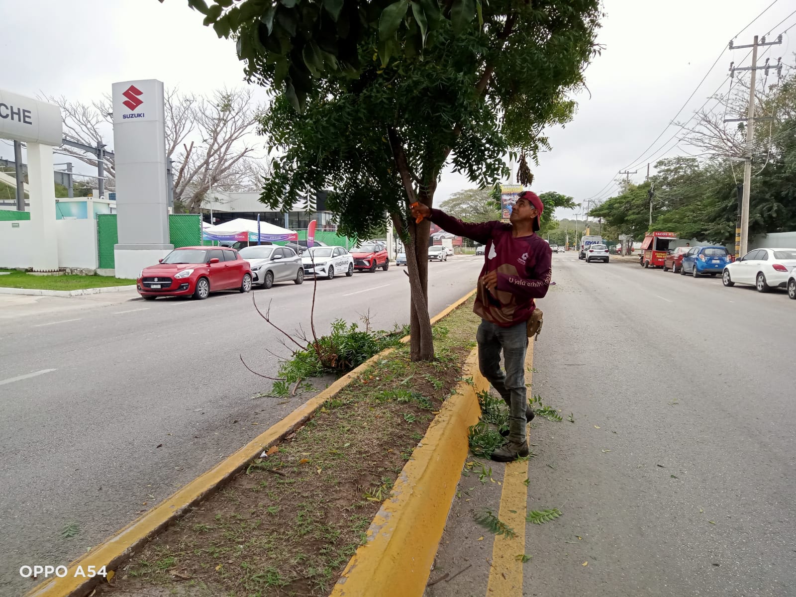 LIMPIEZA EN AV. MAESTROS CAMPECHANOS