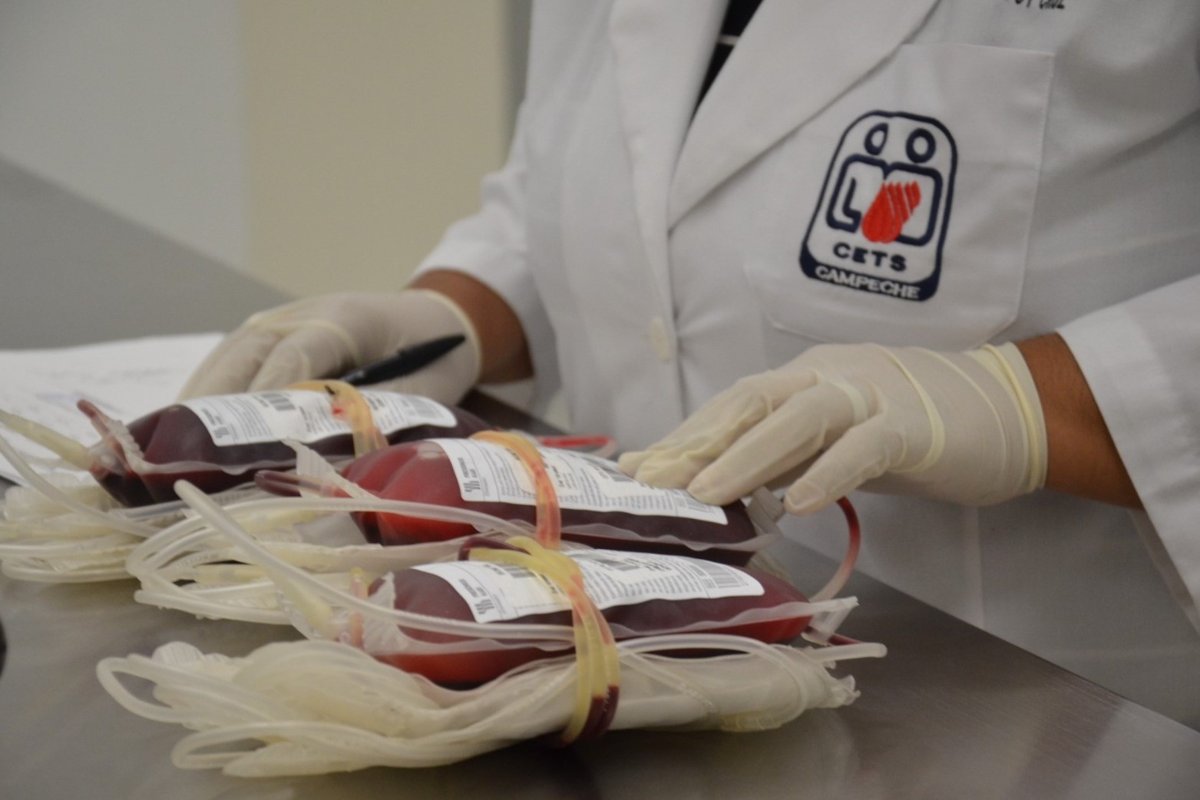 DONAR SANGRE EN EL CETS CAMPECHE ES GRATUITO; EXHORTAN A DENUNCIAR ESTAFAS