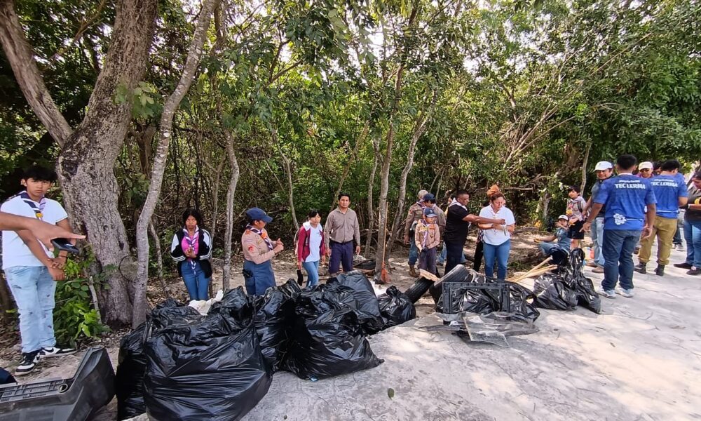 LIMPIAN MANGLAR EN SOLIDARIDAD NACIONAL