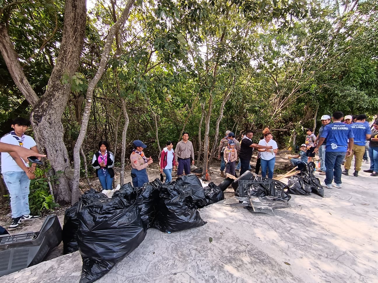 LIMPIAN MANGLAR EN SOLIDARIDAD NACIONAL
