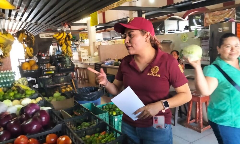 PROMOCIÓN Y DIFUSIÓN DE CURSOS DEL ICAT ACCIÓN MÓVIL PALIZADA