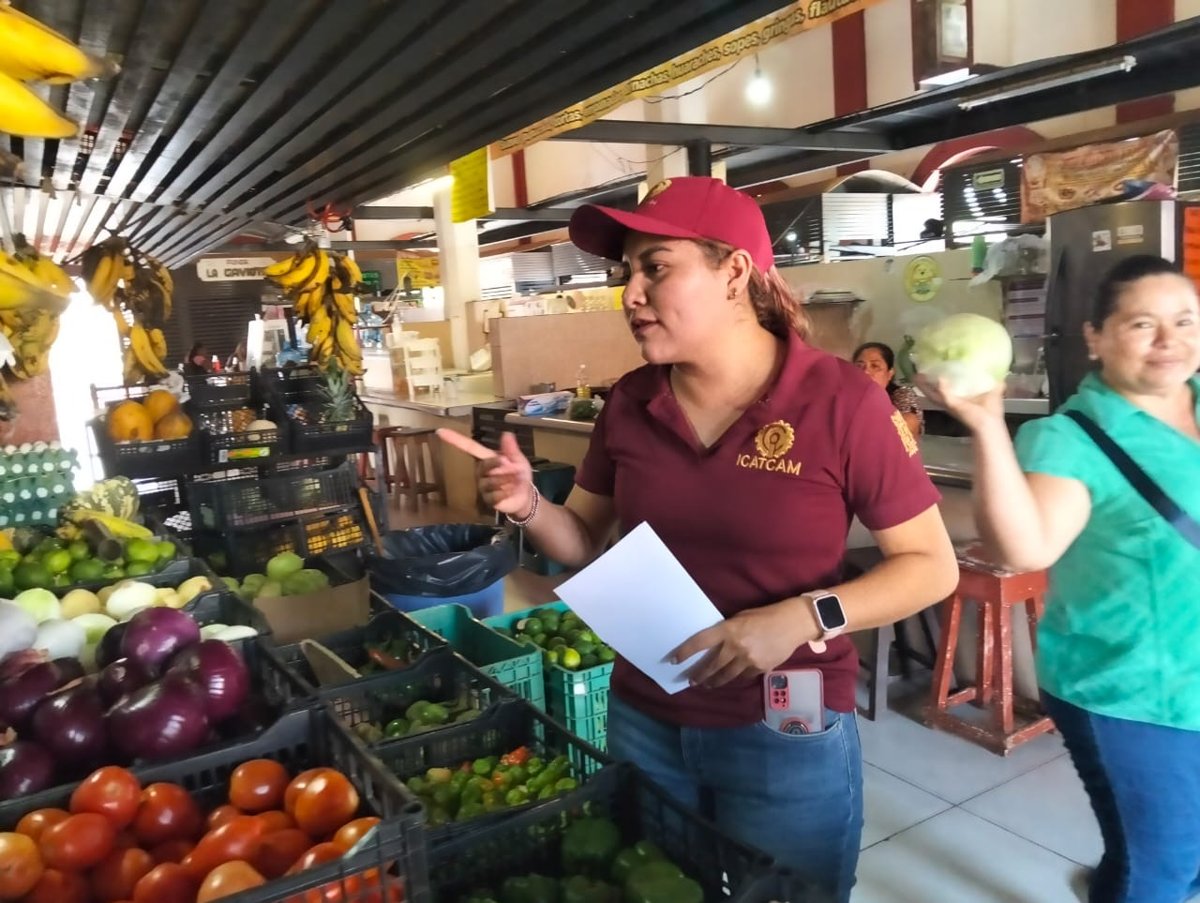PROMOCIÓN Y DIFUSIÓN DE CURSOS DEL ICAT ACCIÓN MÓVIL PALIZADA