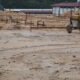 AVANZA EL PROYECTO DE VIVIENDA PARA EL BIENESTAR EN ESCÁRCEGA