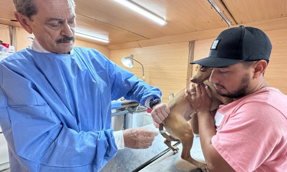 REALIZAN JORNADA INTENSIVA DE VACUNACIÓN ANTIRRÁBICA EN CARMEN
