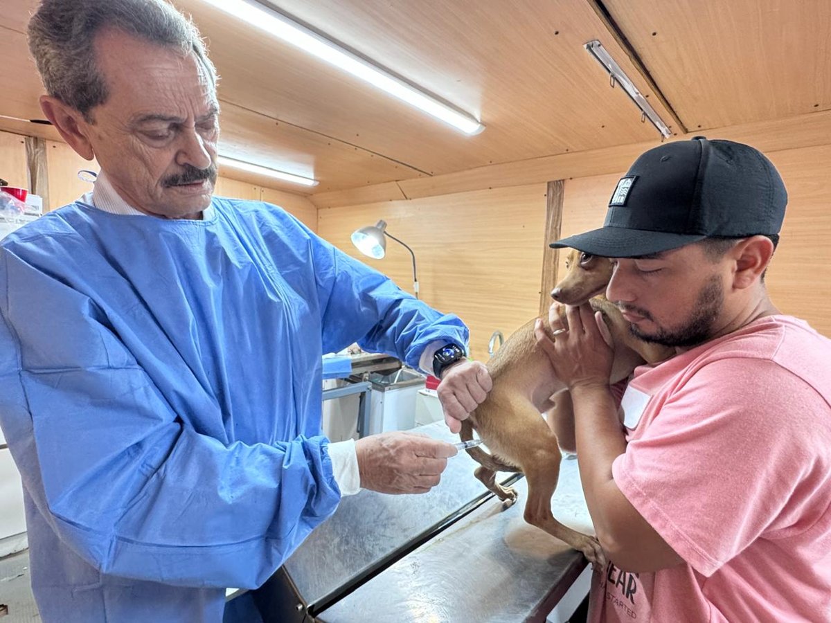 REALIZAN JORNADA INTENSIVA DE VACUNACIÓN ANTIRRÁBICA EN CARMEN