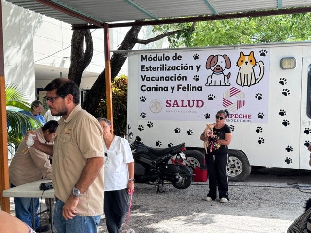 REFUERZAN EL CUIDADO DE ANIMALES EN CARMEN CON JORNADA GRATUITA DE ESTERILIZACIÓN CANINA Y FELINA