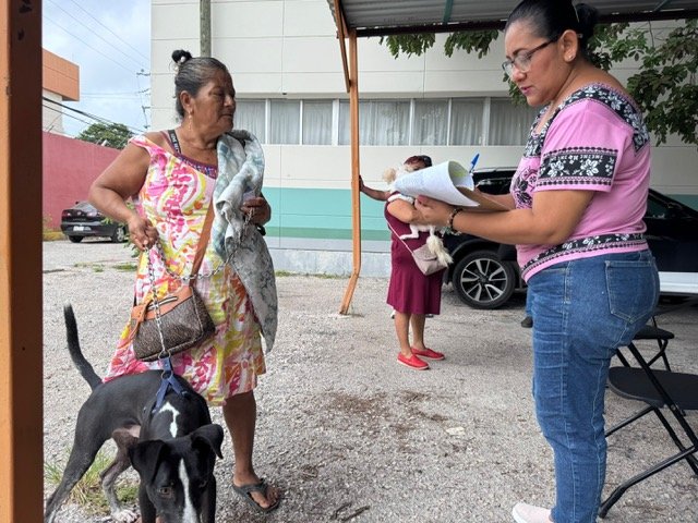 REFUERZAN EL CUIDADO DE ANIMALES EN CARMEN CON JORNADA GRATUITA DE ESTERILIZACIÓN CANINA Y FELINA