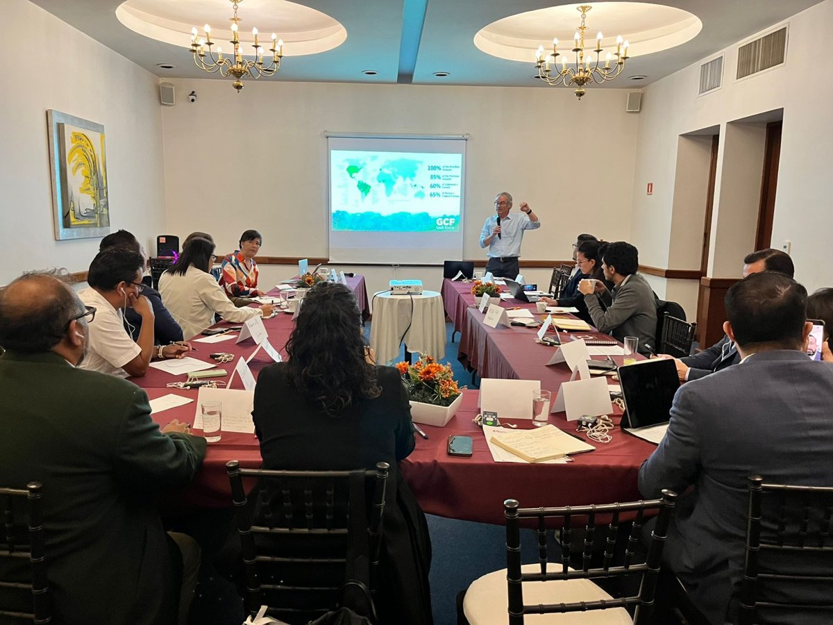 CAMPECHE CON ALIADOS ESTRATÉGICOS PARA COMBATIR LA DEFORESTACIÓN