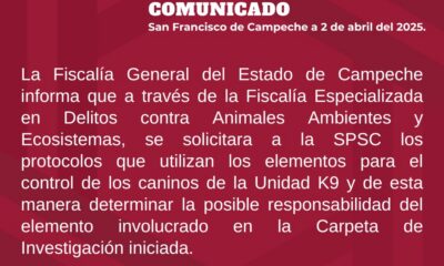 Fiscalía investiga posible maltrato animal contra un agente canino de la Unidad K9