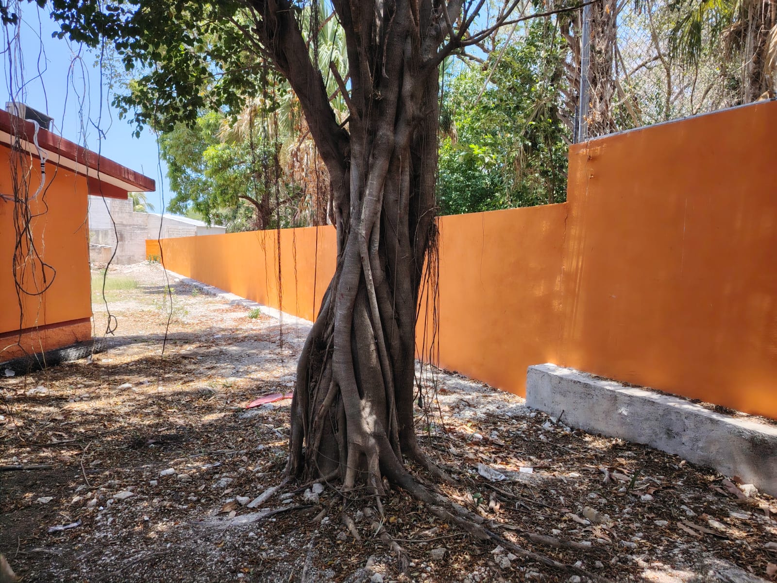 CONCLUYEN OBRAS EN LA ESCUELA PRIMARIA "MARGARITA DE GORTARI DE SALINAS"