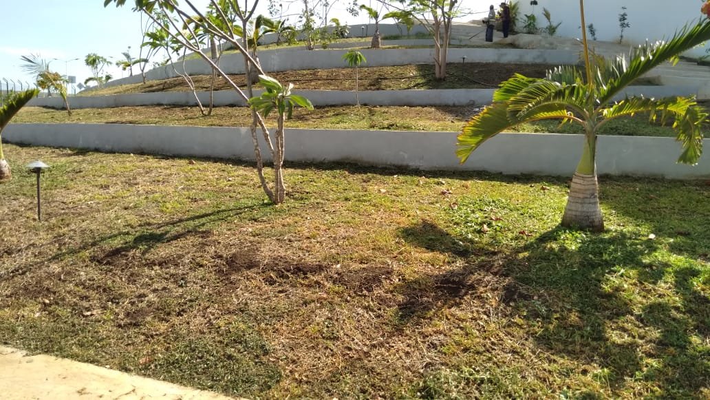 PARQUES Y JARDINES LIMPIA ESTACIONAMIENTO DEL TREN MAYA