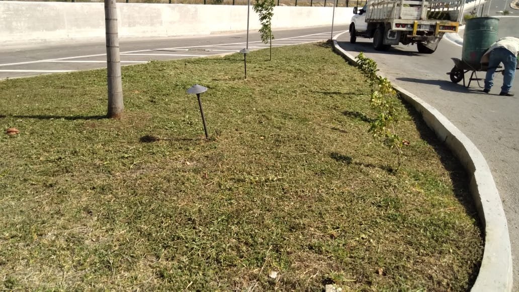 PARQUES Y JARDINES LIMPIA ESTACIONAMIENTO DEL TREN MAYA